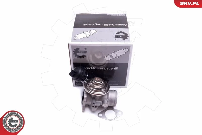 Ventil EGR ESEN SKV 14SKV206
