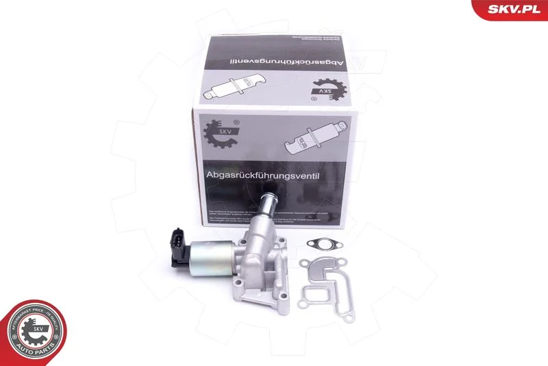 Ventil EGR ESEN SKV 14SKV207