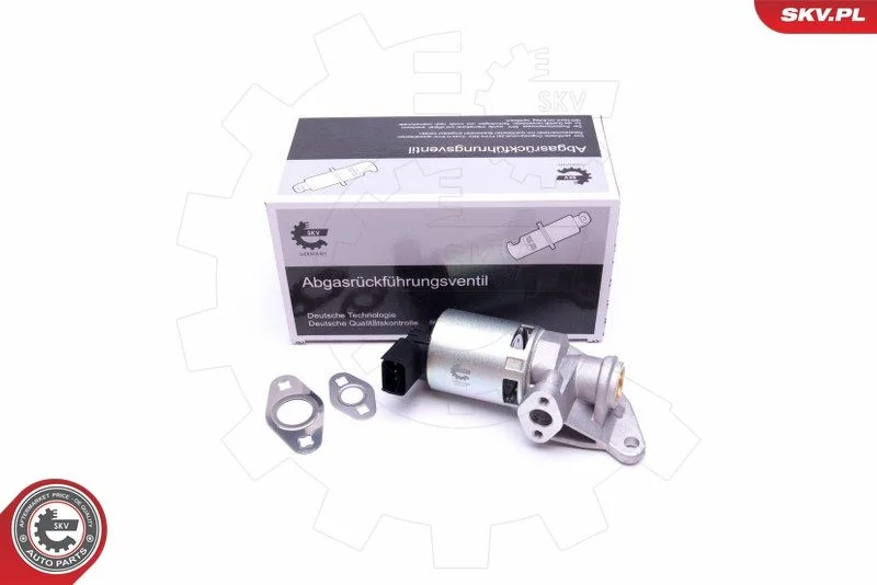 Ventil EGR ESEN SKV 14SKV208