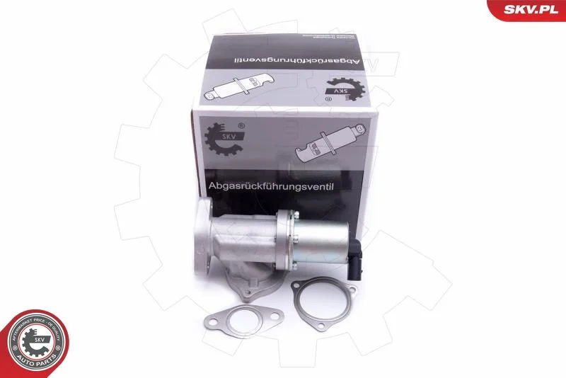 Ventil EGR ESEN SKV 14SKV209