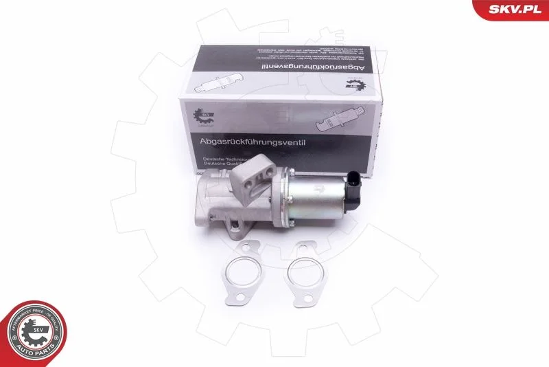 Ventil EGR ESEN SKV 14SKV212