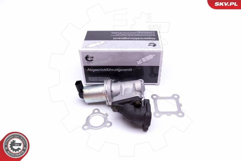 EGR Valve ESEN SKV 14SKV214
