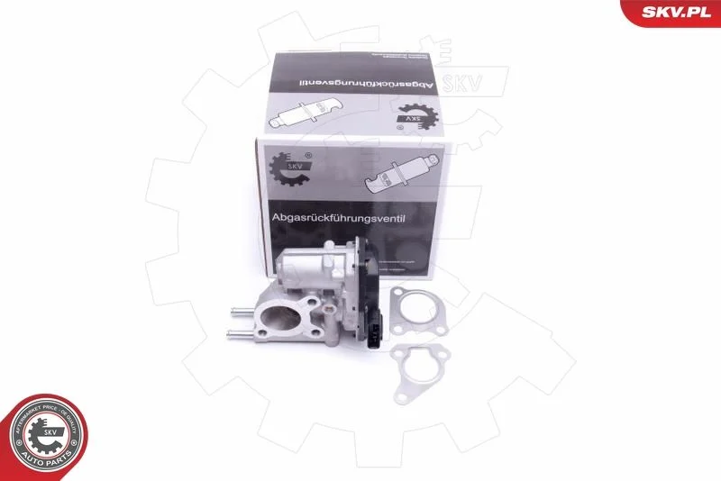 Ventil EGR ESEN SKV 14SKV215