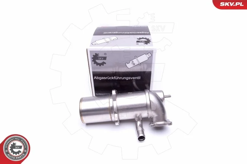 Ventil EGR ESEN SKV 14SKV222