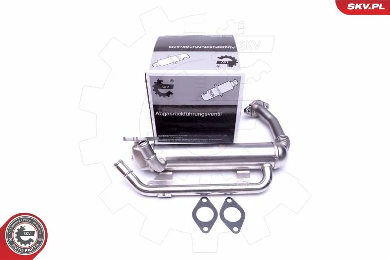 Ventil EGR ESEN SKV 14SKV223