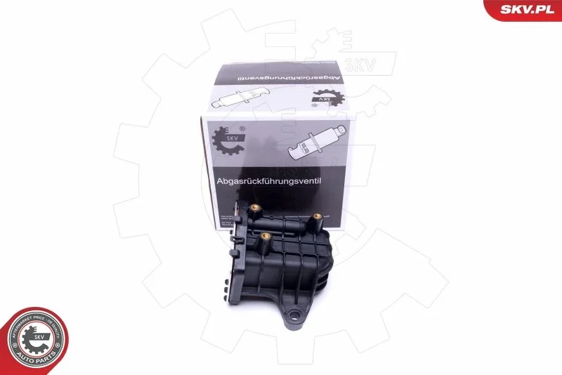 Ventil EGR ESEN SKV 14SKV231