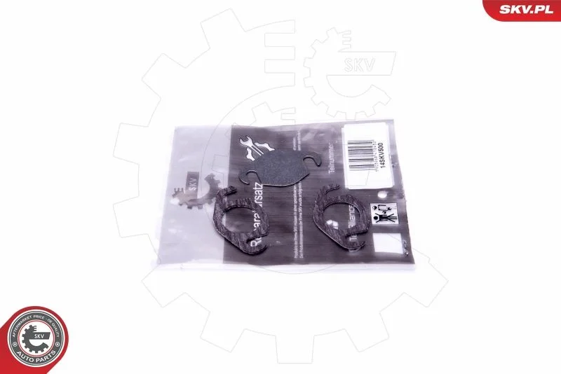 Repair Set, EGR valve ESEN SKV 14SKV500
