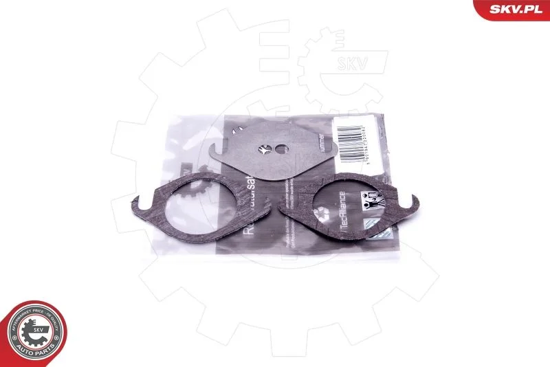 Repair Set, EGR valve ESEN SKV 14SKV503