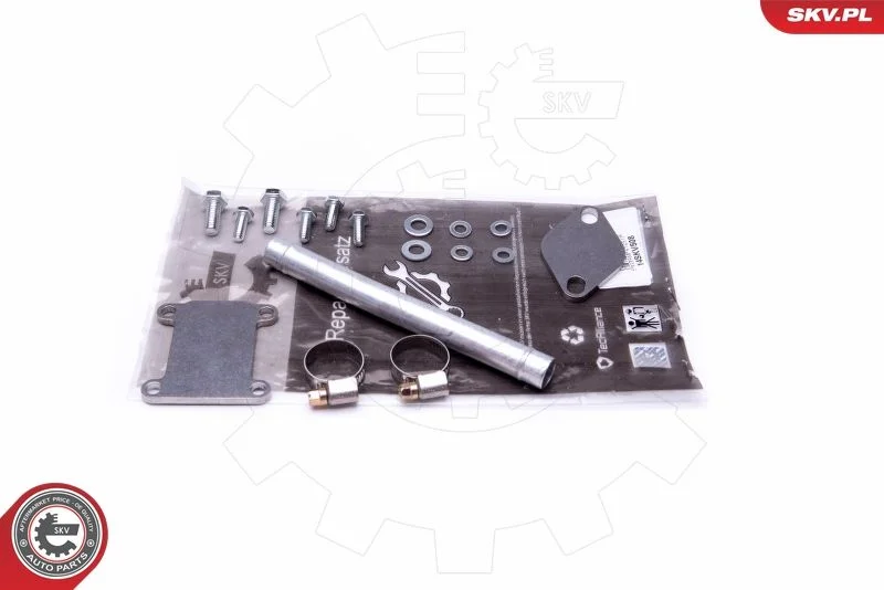 Repair Set, EGR valve ESEN SKV 14SKV508
