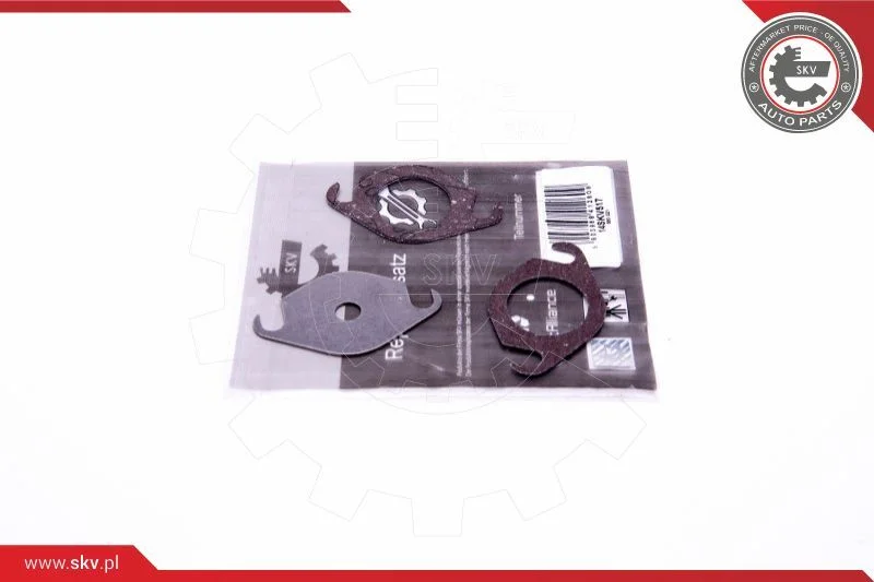 Repair Set, EGR valve ESEN SKV 14SKV517