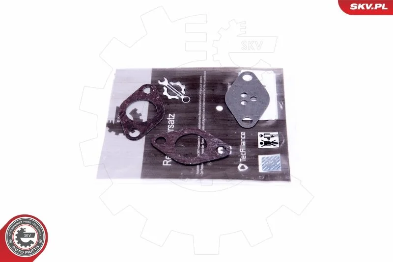 Repair Set, EGR valve ESEN SKV 14SKV525