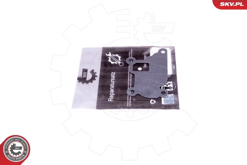 Repair Set, EGR valve ESEN SKV 14SKV526