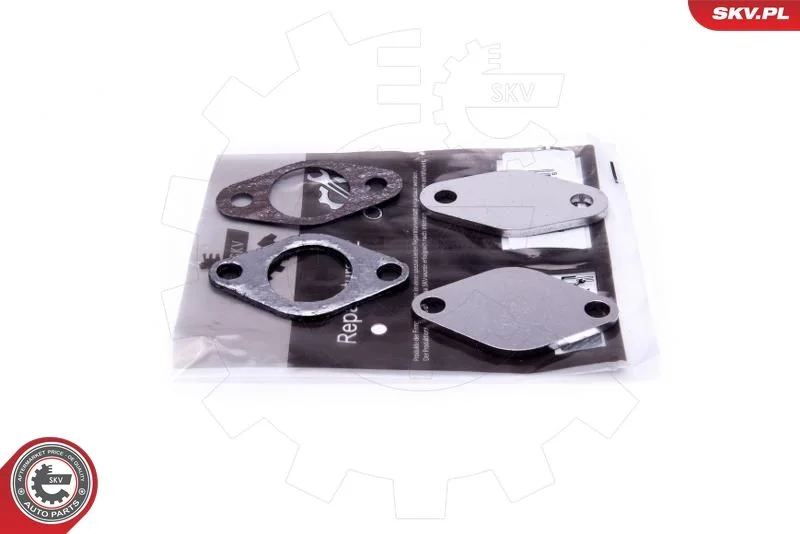 Repair Set, EGR valve ESEN SKV 14SKV530