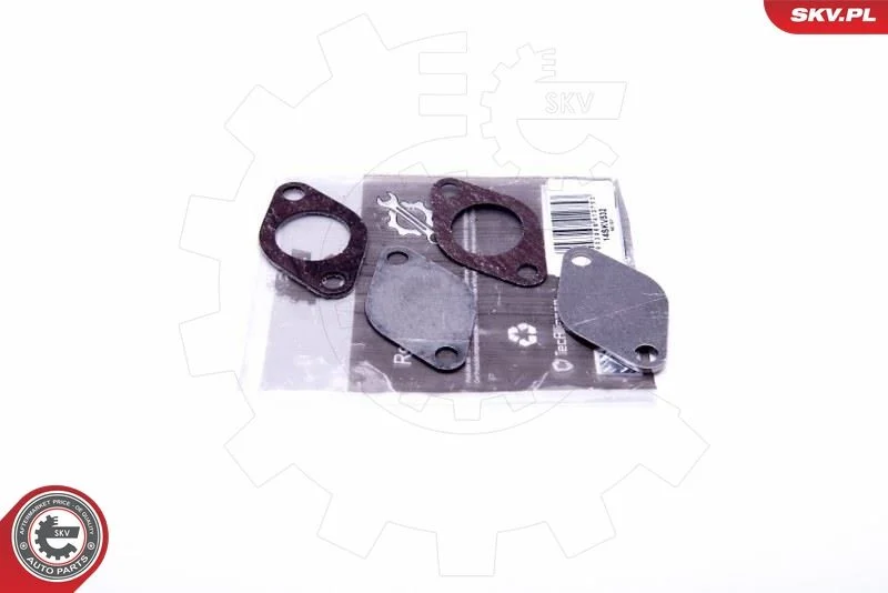 Repair Set, EGR valve ESEN SKV 14SKV532
