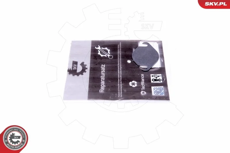 Repair Set, EGR valve ESEN SKV 14SKV535
