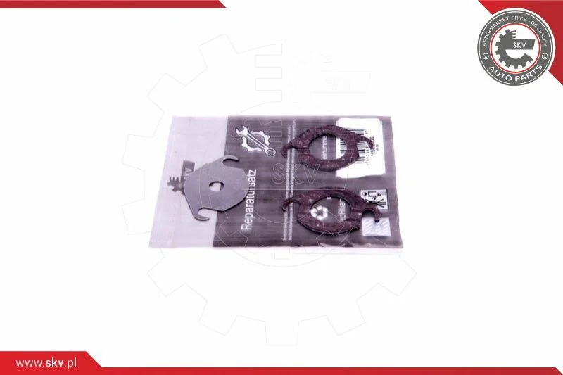 Repair Set, EGR valve ESEN SKV 14SKV536
