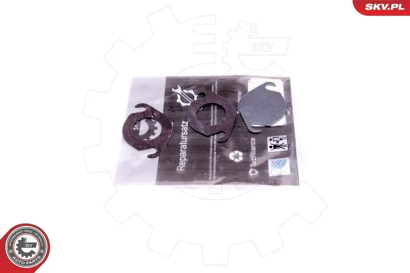 Repair Set, EGR valve ESEN SKV 14SKV537