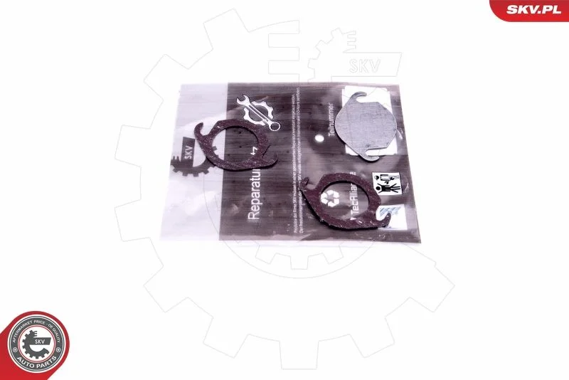 Repair Set, EGR valve ESEN SKV 14SKV540