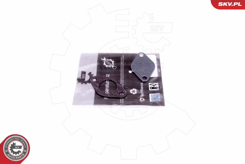 Repair Set, EGR valve ESEN SKV 14SKV542