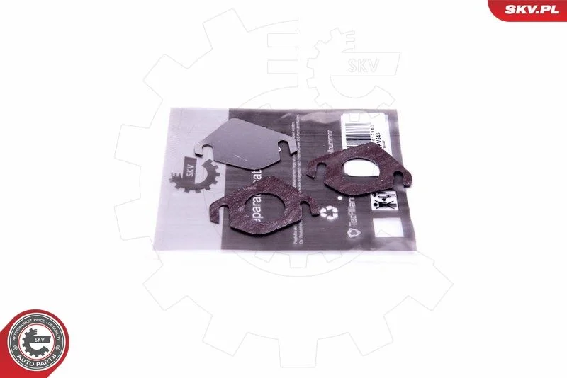 Repair Set, EGR valve ESEN SKV 14SKV545