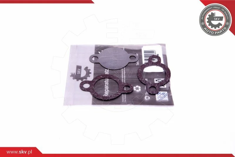 Repair Set, EGR valve ESEN SKV 14SKV546