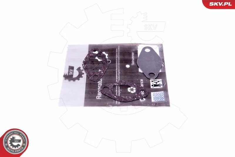 Repair Set, EGR valve ESEN SKV 14SKV548
