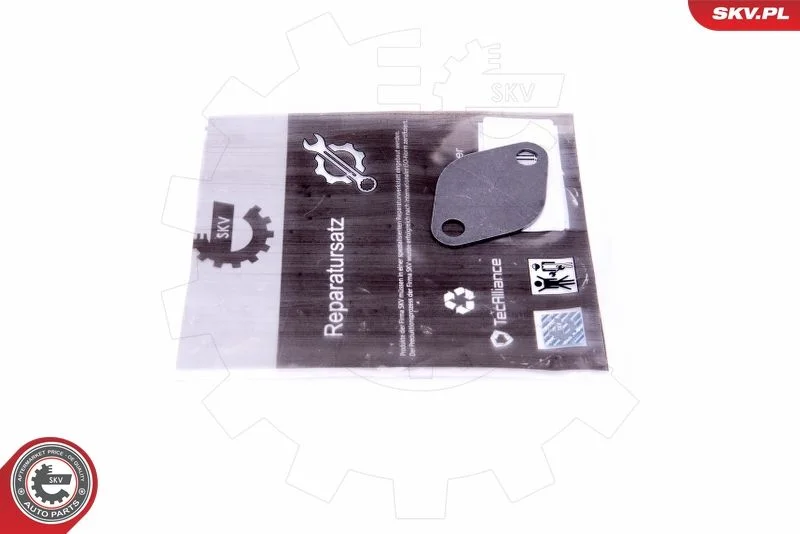 Repair Set, EGR valve ESEN SKV 14SKV549