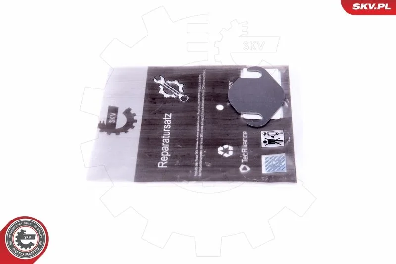 Komplet za popravilo, EGR ventil ESEN SKV 14SKV556