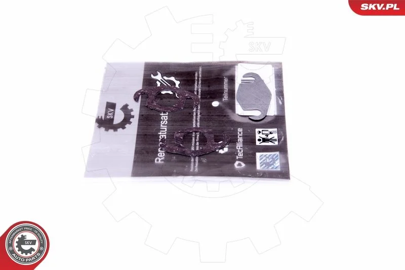 Repair Set, EGR valve ESEN SKV 14SKV560