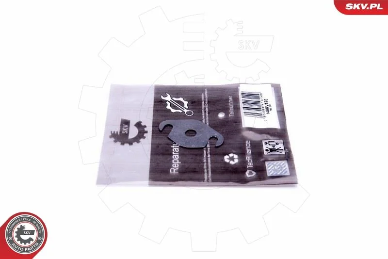Repair Set, EGR valve ESEN SKV 14SKV570