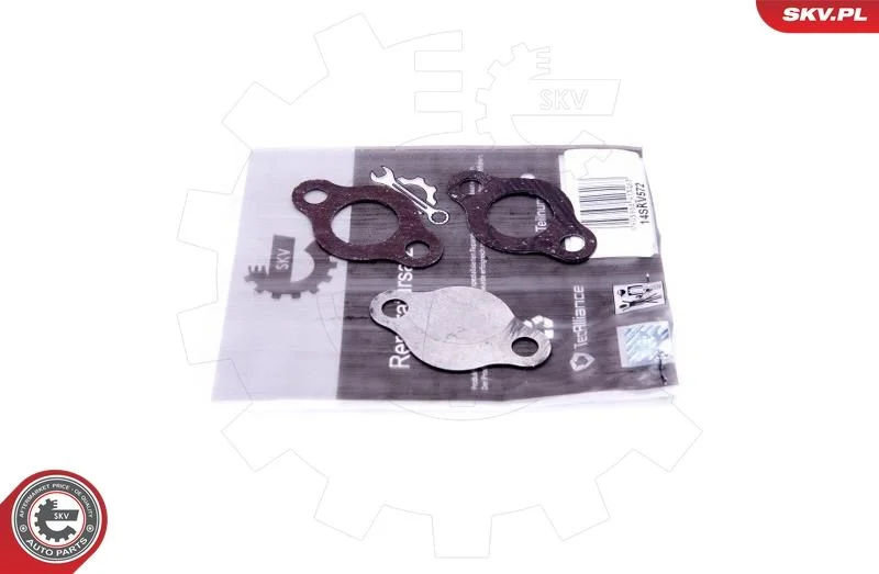 Repair Set, EGR valve ESEN SKV 14SKV572