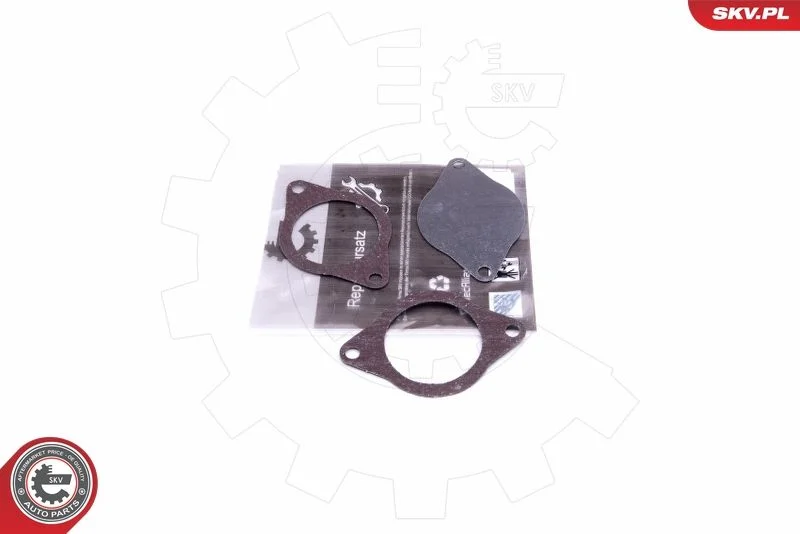 Repair Set, EGR valve ESEN SKV 14SKV574