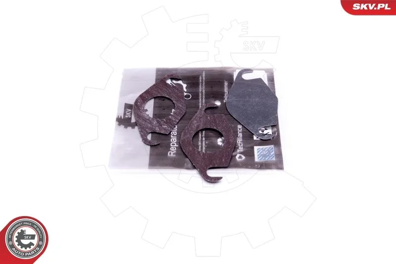 Repair Set, EGR valve ESEN SKV 14SKV577