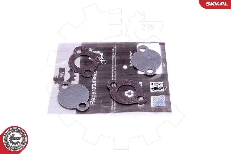 Repair Set, EGR valve ESEN SKV 14SKV578