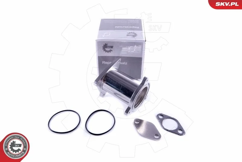 Repair Set, EGR valve ESEN SKV 14SKV582