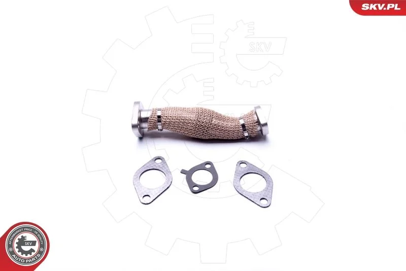 Cev, EGR ventil ESEN SKV 14SKV703