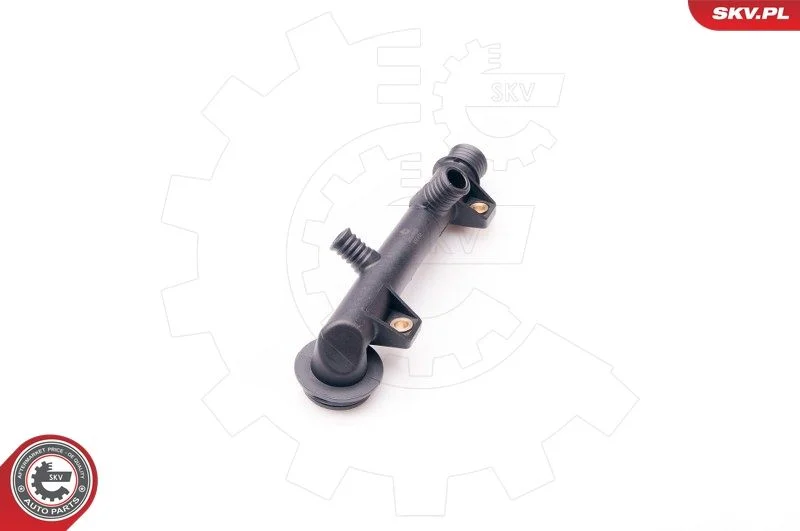 Sealing Plug, coolant flange ESEN SKV 20SKV059