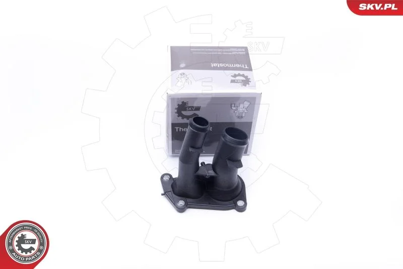 Coolant Flange ESEN SKV 20SKV072