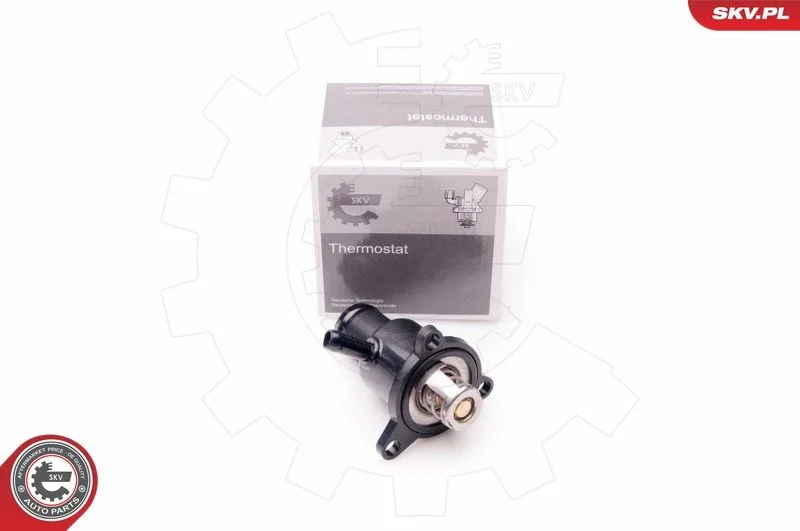 Coolant Flange ESEN SKV 20SKV074
