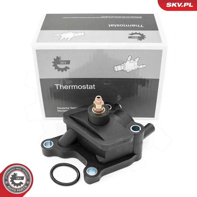 Coolant Flange ESEN SKV 20SKV226