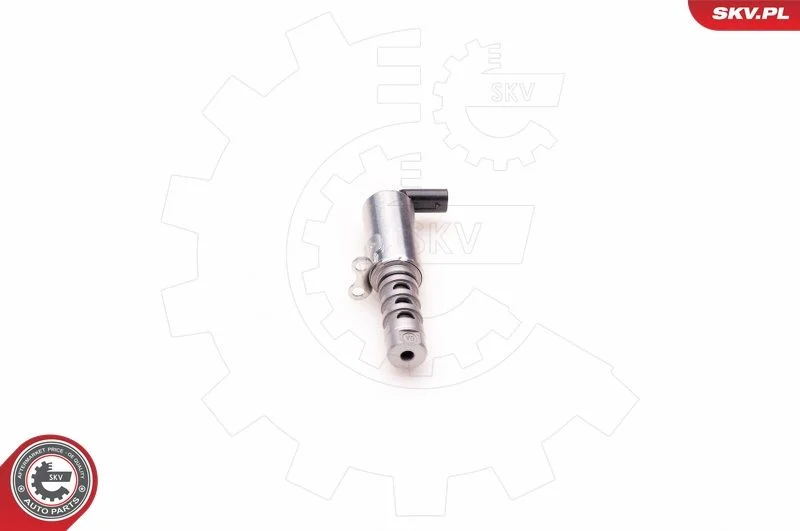 Kontrolni ventil, nastavitev odmične gredi ESEN SKV 39SKV011