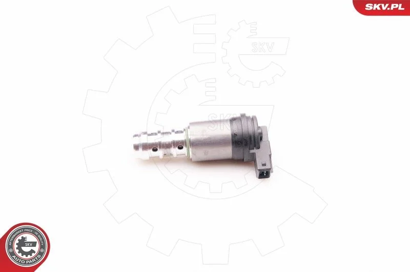 Kontrolni ventil, nastavitev odmične gredi ESEN SKV 39SKV013