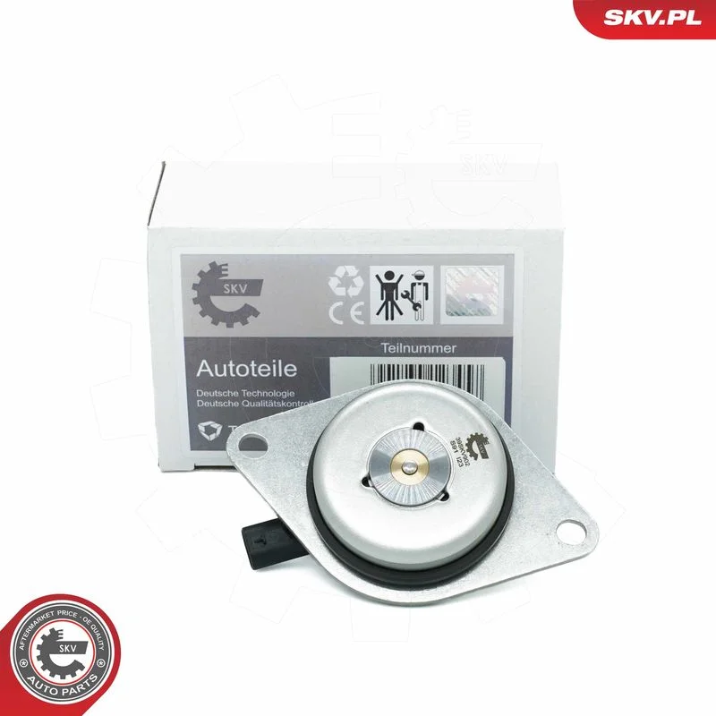 Centralni magnet, nastavitev odmične gredi ESEN SKV 39SKV902