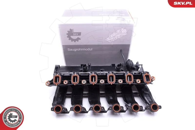 Intake Manifold Module ESEN SKV 49SKV016