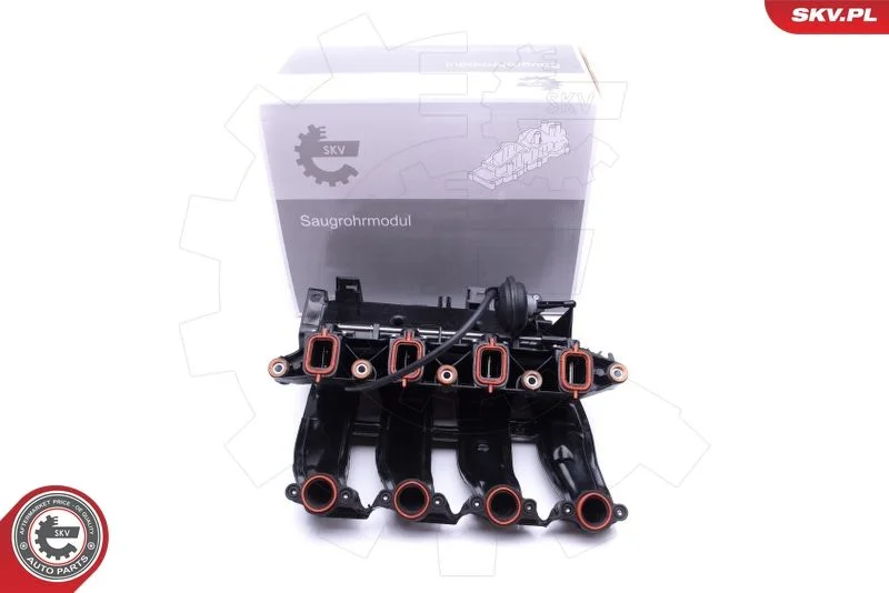 Intake Manifold Module ESEN SKV 49SKV017