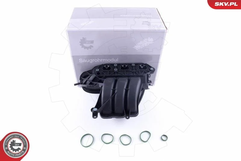 Intake Manifold Module ESEN SKV 49SKV056