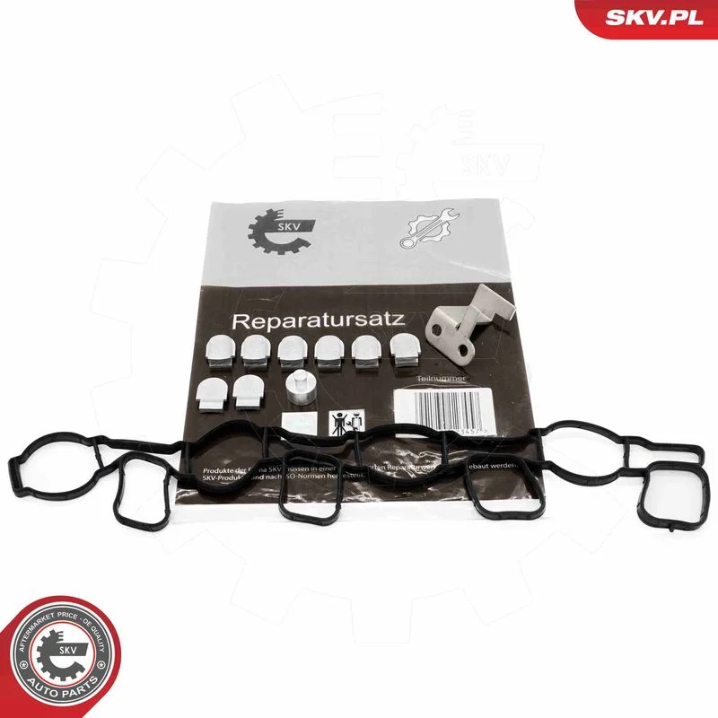 Komplet za popravilo, modul sesalnega kolektorja ESEN SKV 49SKV511