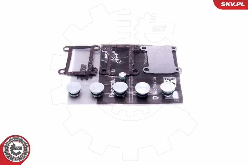 Komplet za popravilo, modul sesalnega kolektorja ESEN SKV 49SKV526