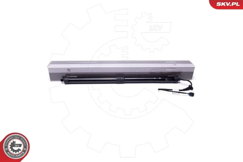 Električni motor, zadnja vrata ESEN SKV 52SKV900