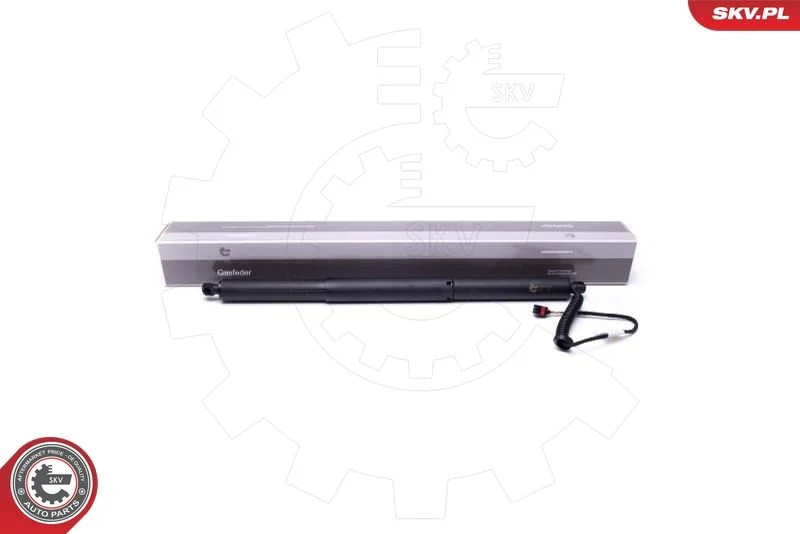 Električni motor, zadnja vrata ESEN SKV 52SKV903